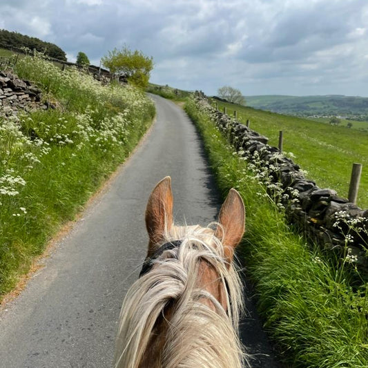 Eccles Pike Guided Horse Ride | Buxworth, High Peak | Leading Ladies Equestrian