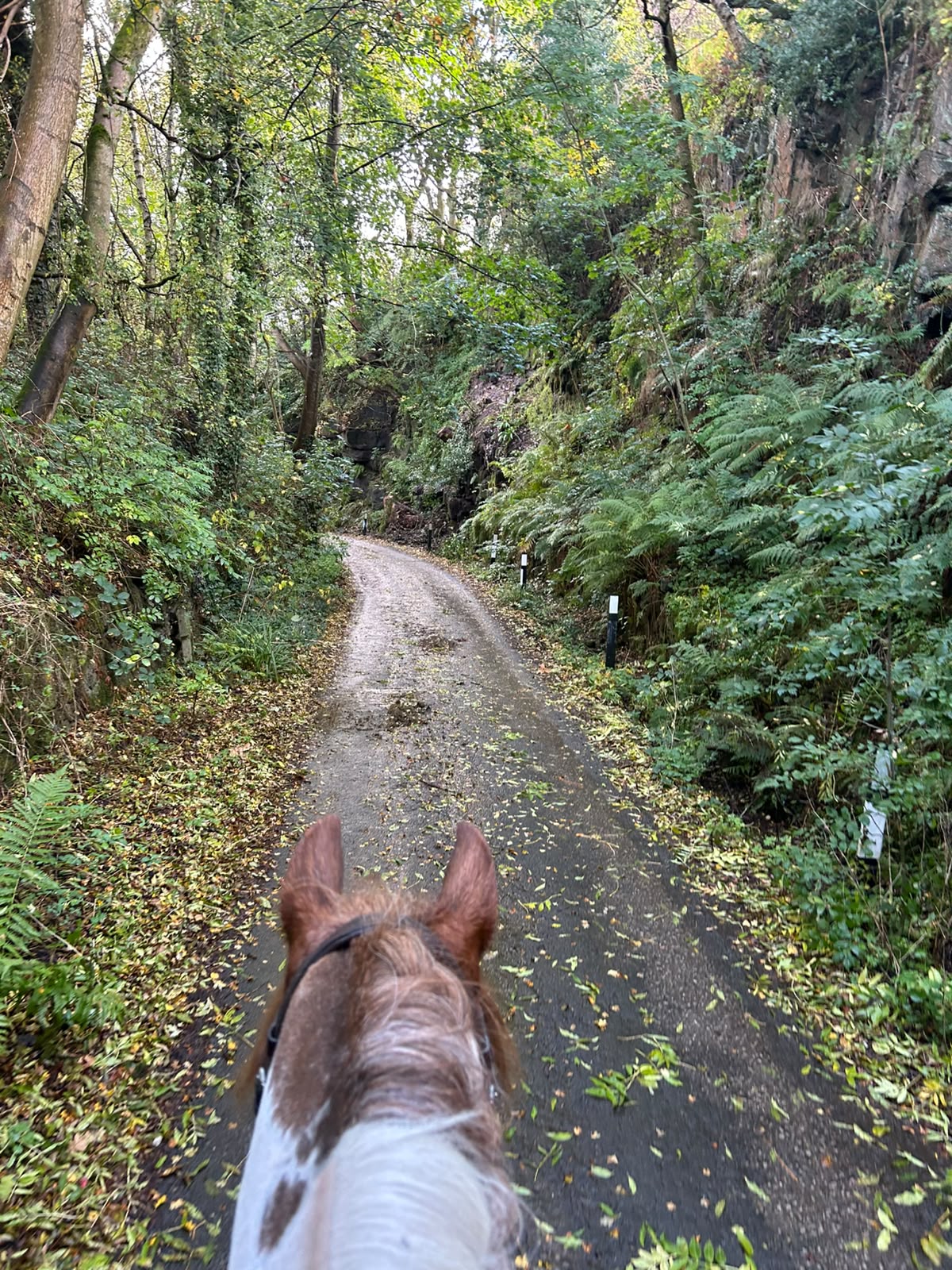 Eccles Pike Guided Horse Ride | Buxworth, High Peak | Leading Ladies Equestrian