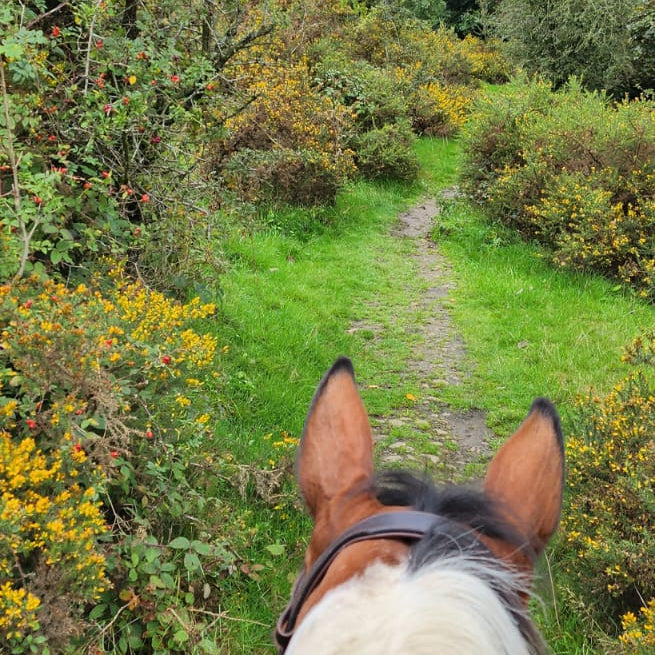 Eccles Pike Guided Horse Ride | Buxworth, High Peak | Leading Ladies Equestrian