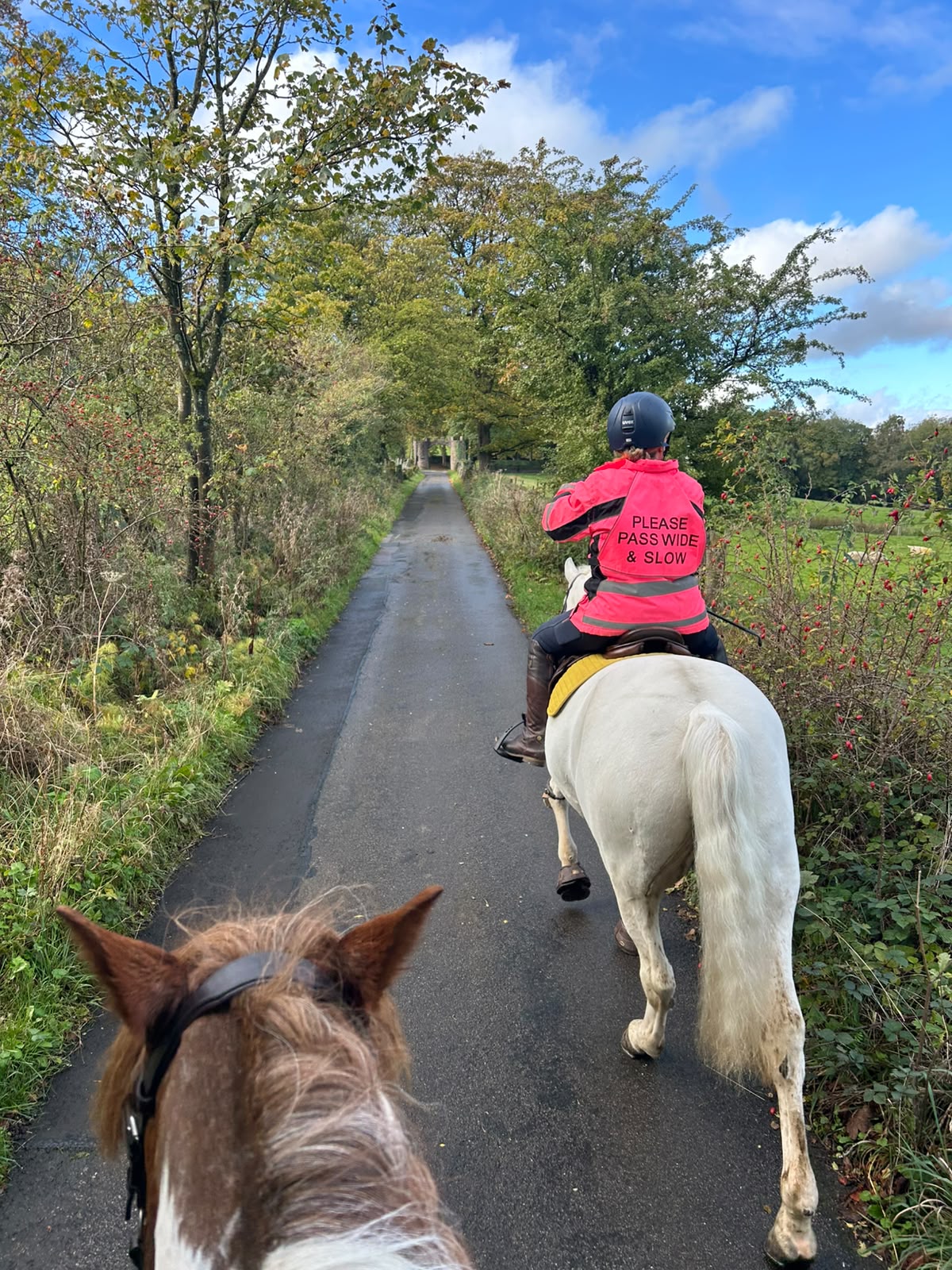 Eccles Pike Guided Horse Ride | Buxworth, High Peak | Leading Ladies Equestrian