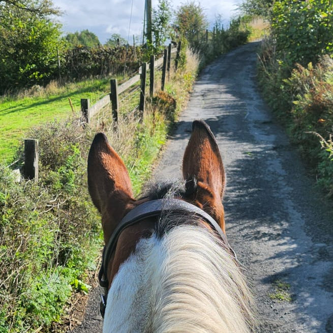 Eccles Pike Guided Horse Ride | Buxworth, High Peak | Leading Ladies Equestrian