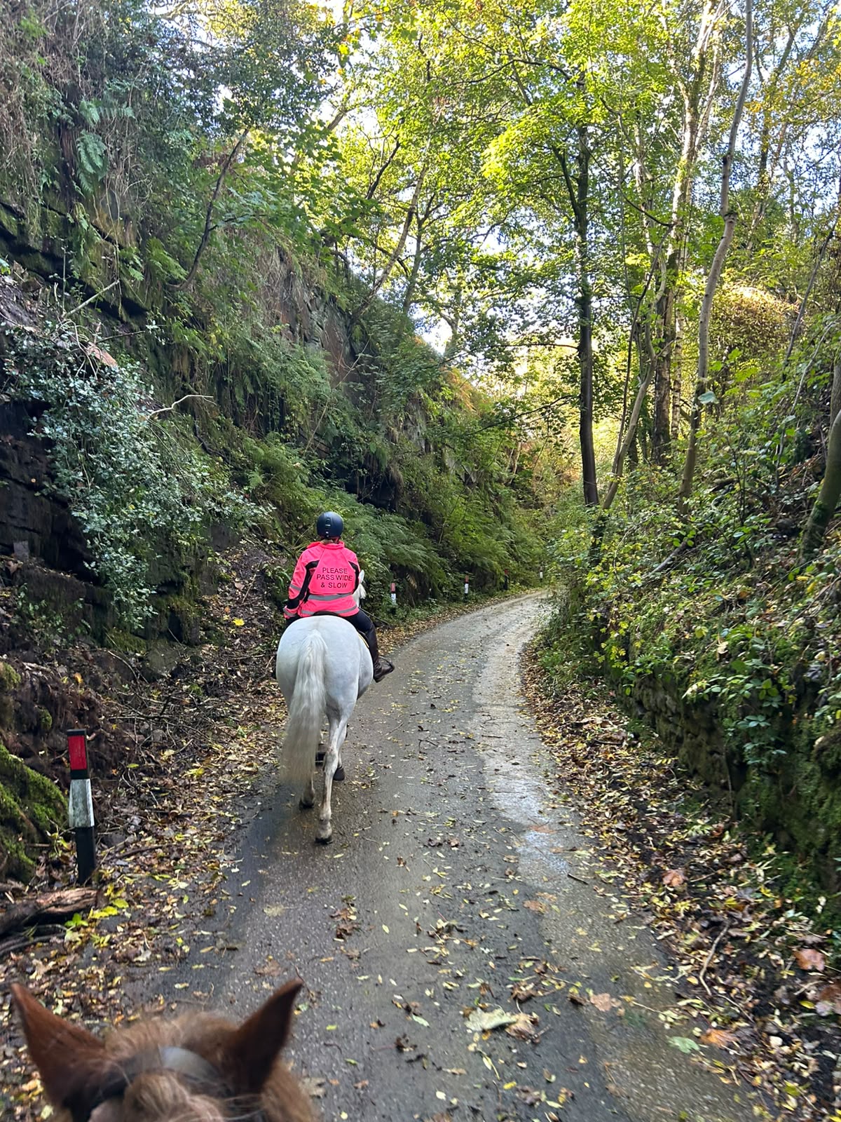 Eccles Pike Guided Horse Ride | Buxworth, High Peak | Leading Ladies Equestrian