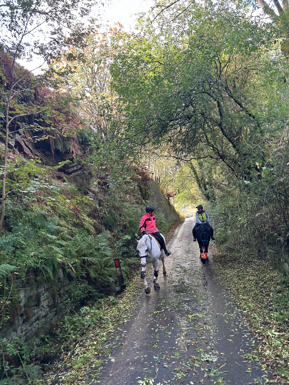 Eccles Pike Guided Horse Ride | Buxworth, High Peak | Leading Ladies Equestrian