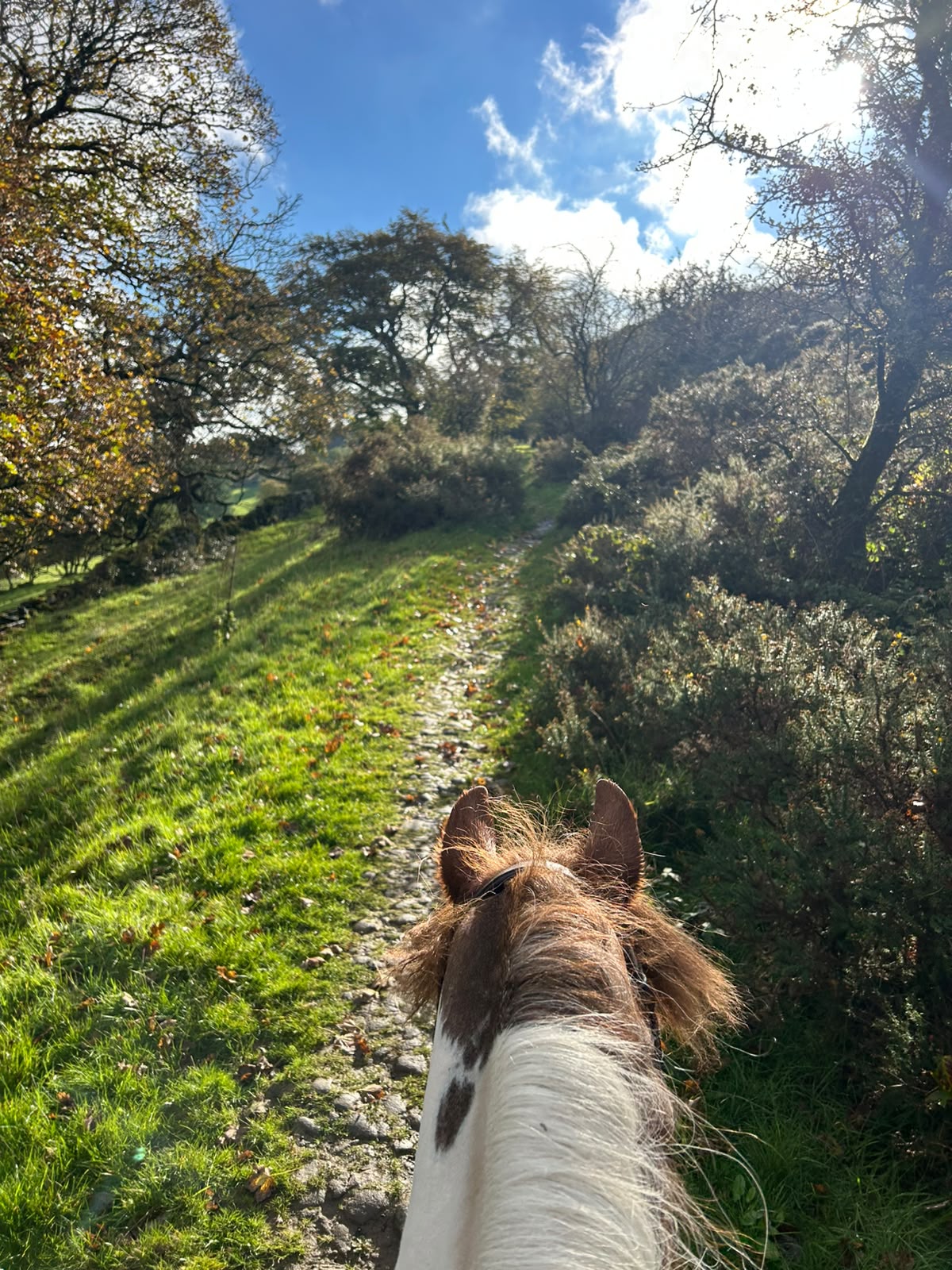 Eccles Pike Guided Horse Ride | Buxworth, High Peak | Leading Ladies Equestrian