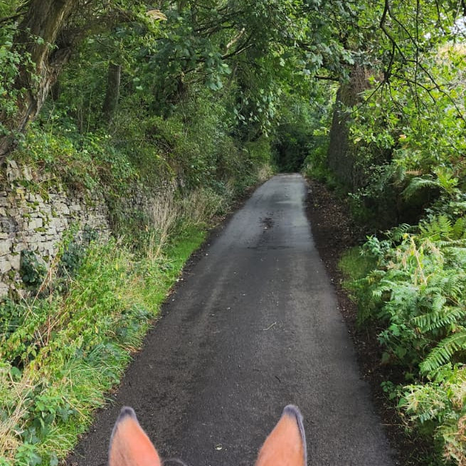 Eccles Pike Guided Horse Ride | Buxworth, High Peak | Leading Ladies Equestrian
