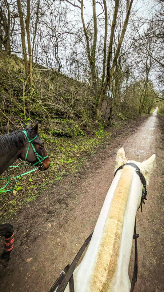 Pleasley Pit Guided Ride | Short Route | 5.3 Miles | £40
