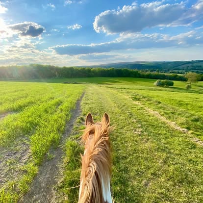 Rider & Horse Partnership Camp with Katy Thompson