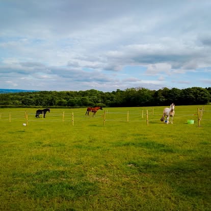 Rider & Horse Partnership Camp with Katy Thompson