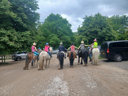 Chatsworth Guided Ride for Children (off lead rein)