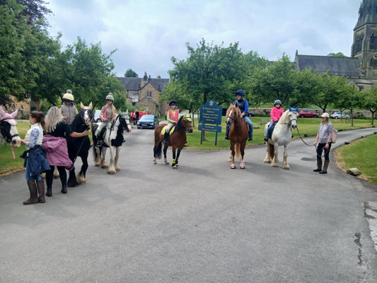 Chatsworth Guided Ride for Children -  Lead Rein