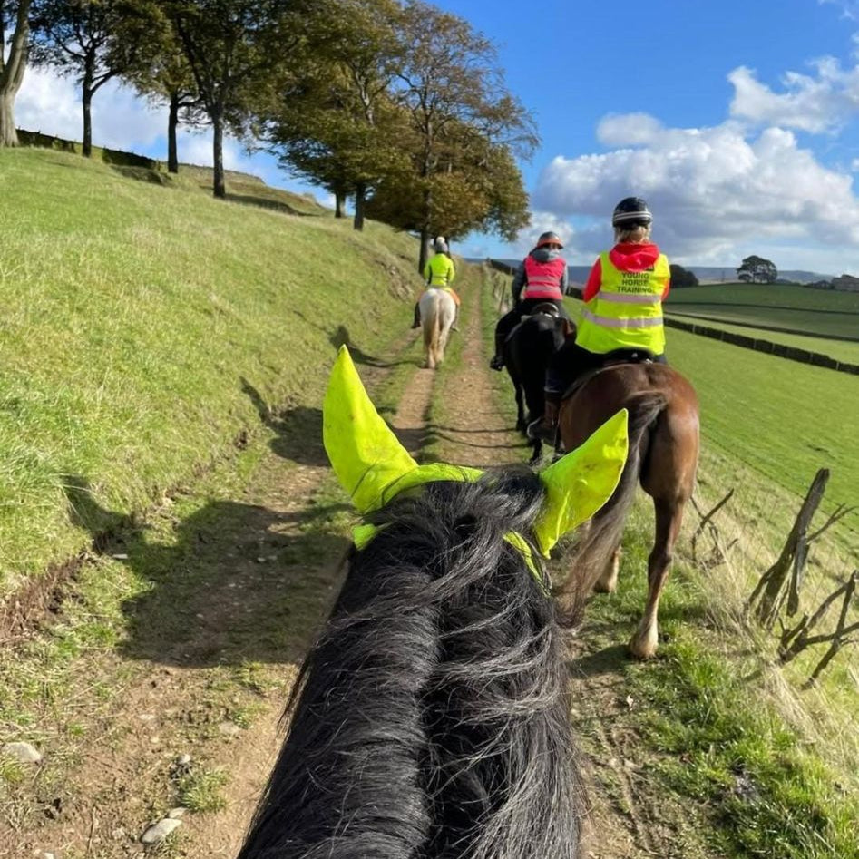Rocky Roads Guided Horse Ride | Mellor, High Peak | Leading Ladies Equestrian