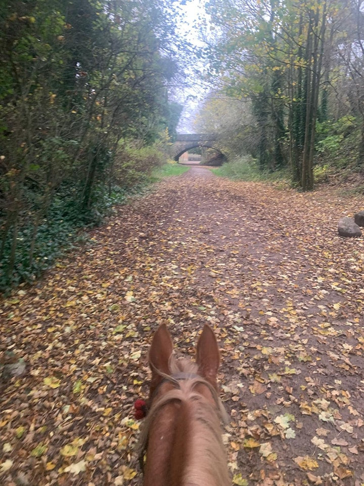 1–1 Guided Confidence Hack Programme (6 Weeks)  With Tash & Tula + Lizzie & Muddle Peak District & Derbyshire | £500 | March Start