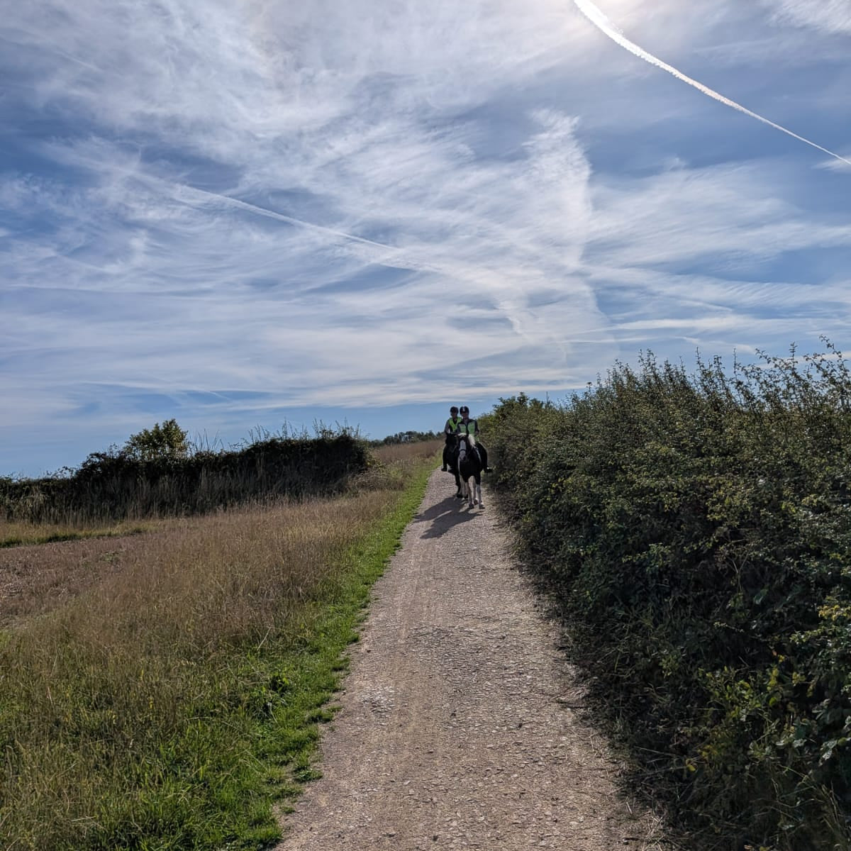 Pleasley Pit Guided Horse Ride | Silverhill & Teversal | Derbyshire | £40