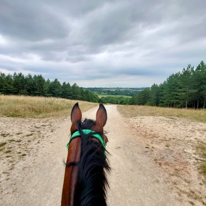 Pleasley Pit, Silverhill & Teversal Guided Ride