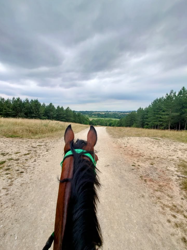 Pleasley Pit Guided Ride | Short Route | 5.3 Miles | £40
