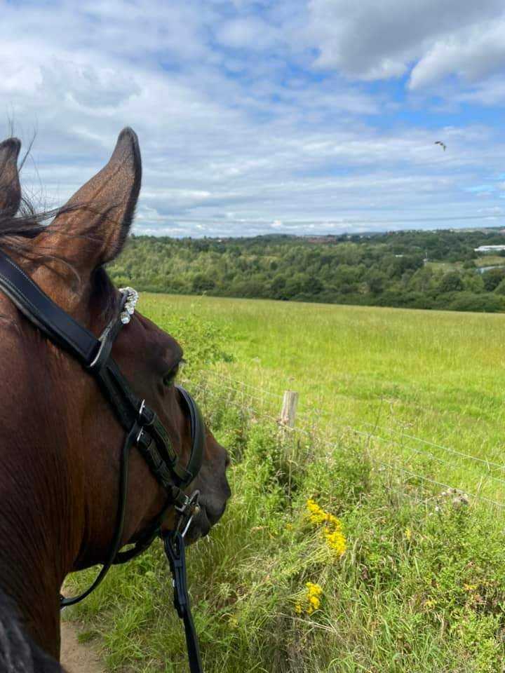 Westwood & Poolsbrook Country Park Guided Ride