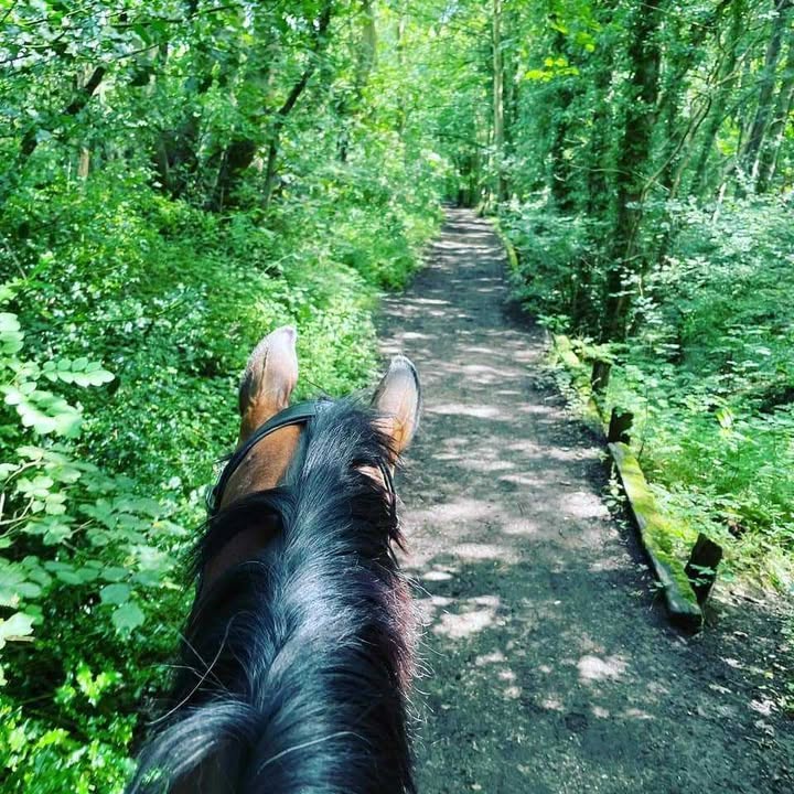 Westwood & Poolsbrook Country Park Guided Ride