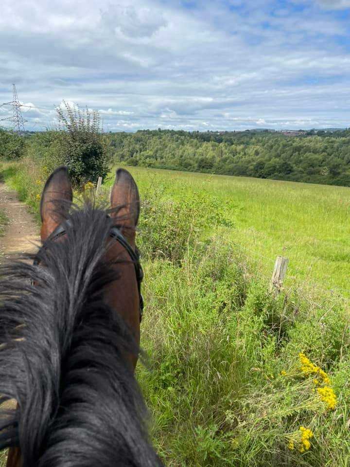 Westwood & Poolsbrook Country Park Guided Ride