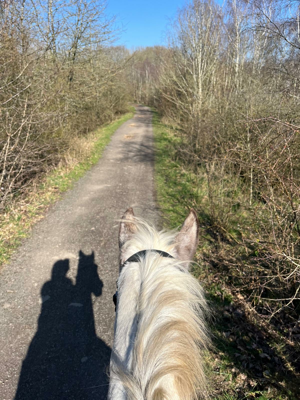 Poolsbrook Country Park Guided Ride | Walk, Trot & Canter | 13th April