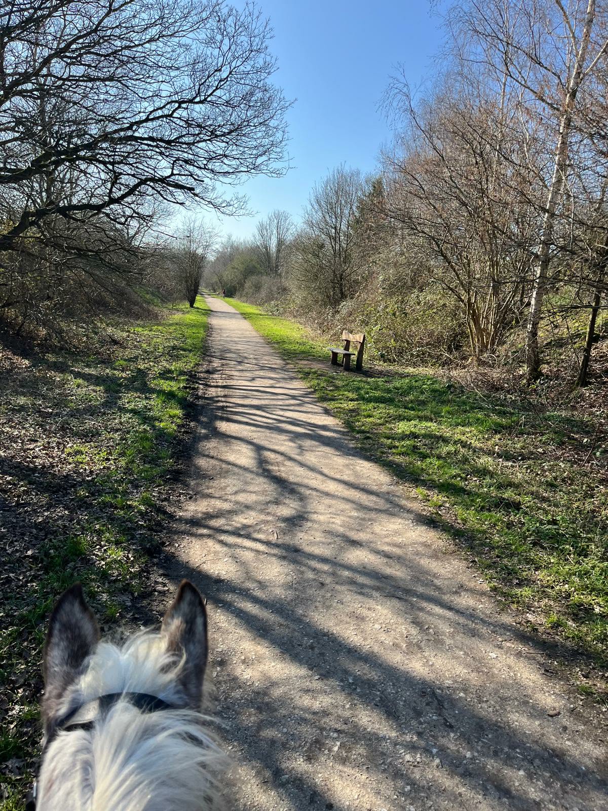 Poolsbrook Country Park Guided Ride | Walk, Trot & Canter | 13th April