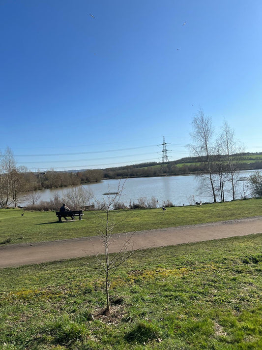 Poolsbrook Country Park Guided Ride | Walk, Trot & Canter | 13th April