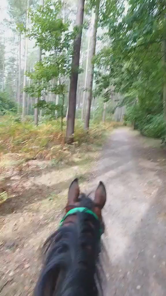 Blidworth Woods Confidence Guided Ride