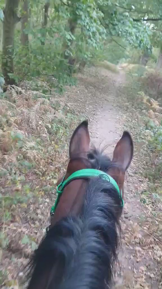 Blidworth Woods Confidence Guided Ride