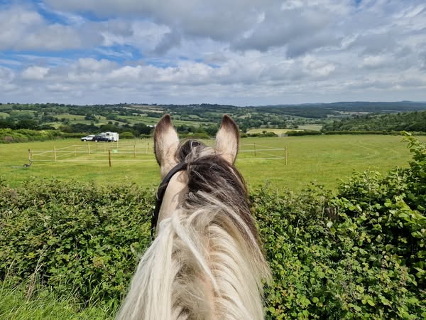 Rider & Horse Partnership Camp with Katy Thompson