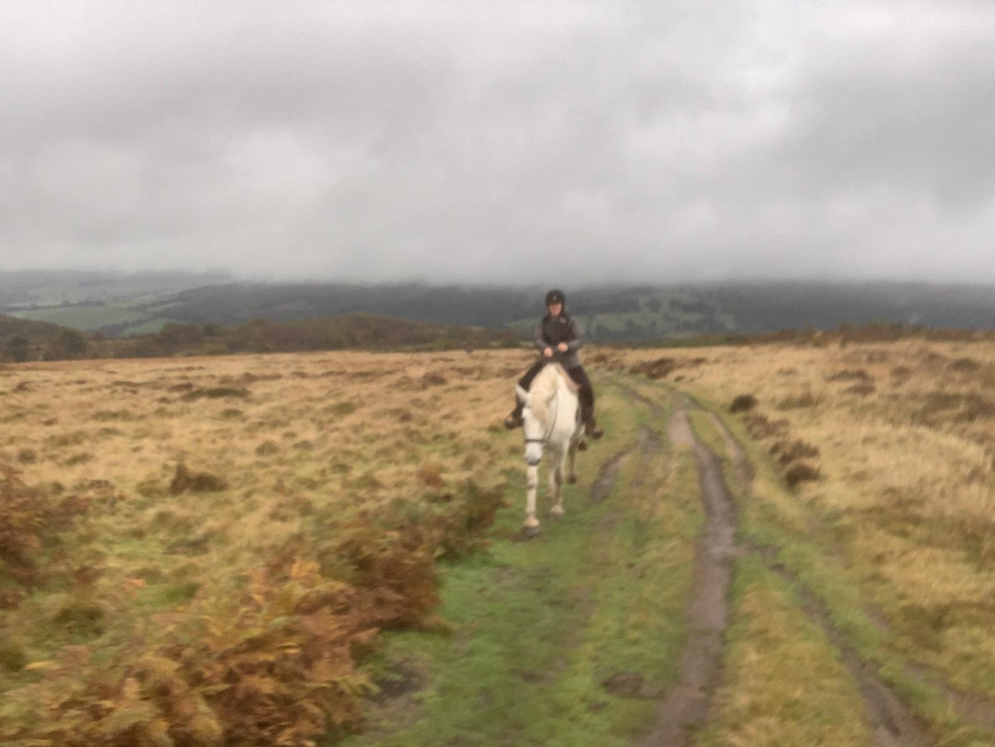 Longshaw Estate Guided Ride