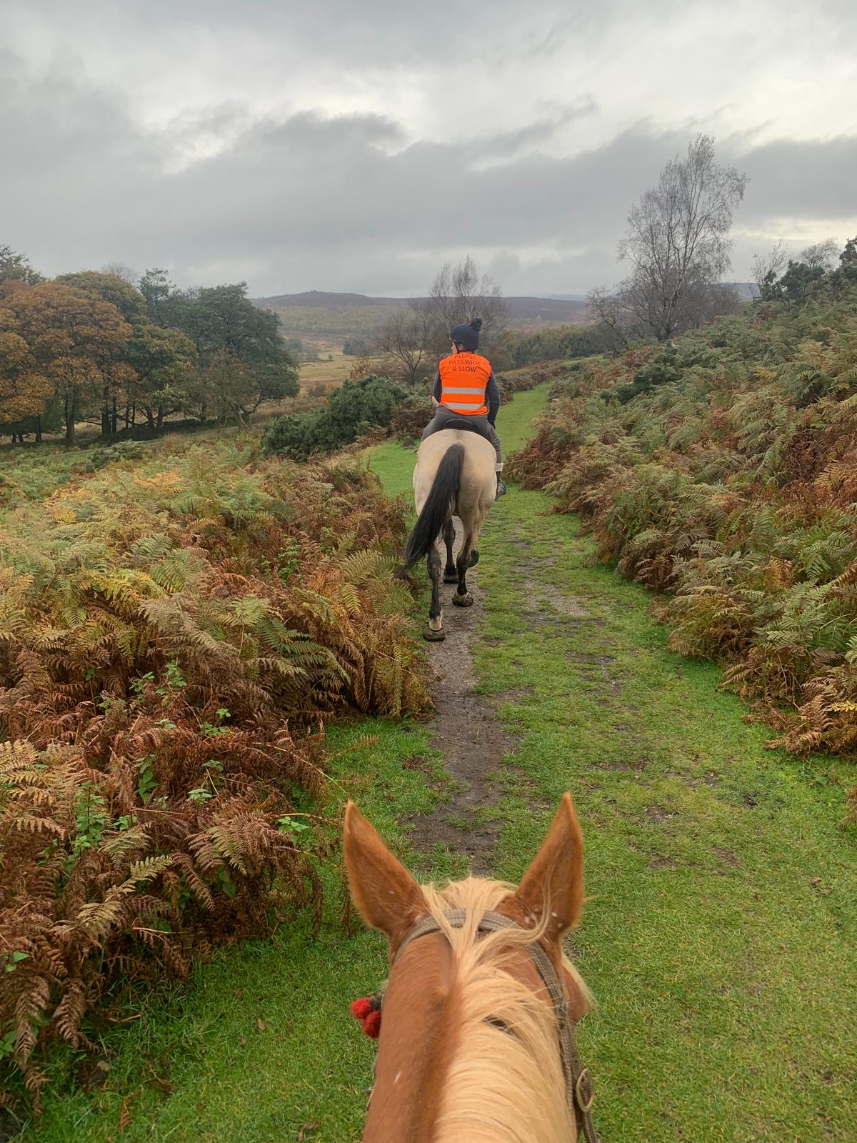 Longshaw Estate Guided Ride