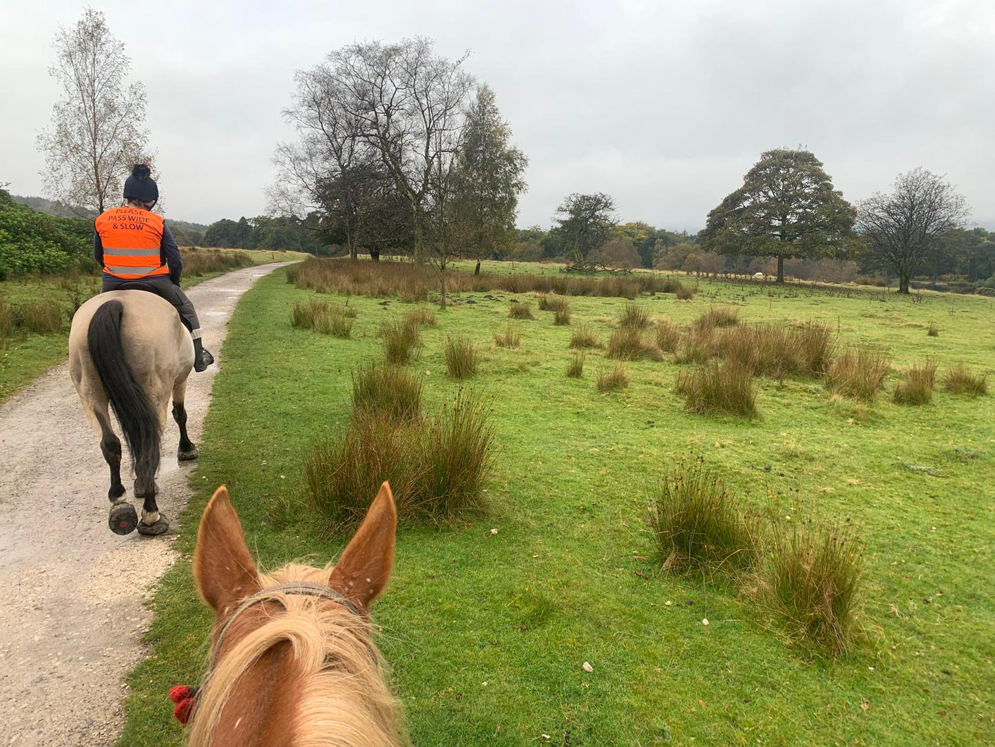 Longshaw Estate Guided Ride