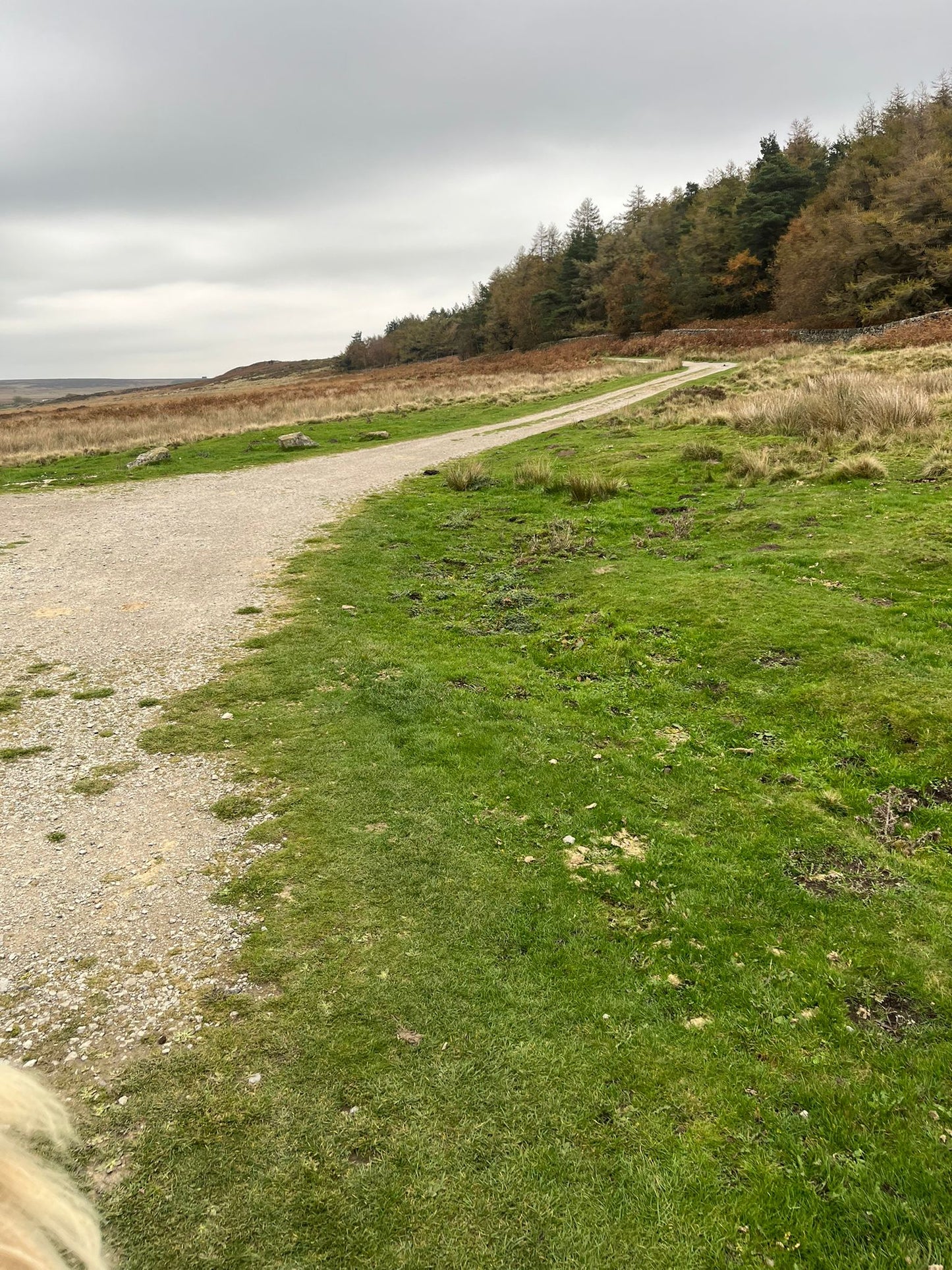 Longshaw Estate Guided Ride