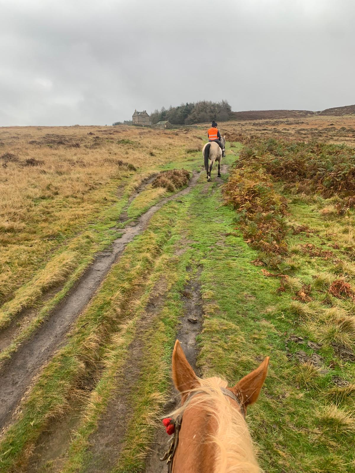 Longshaw Estate Guided Ride