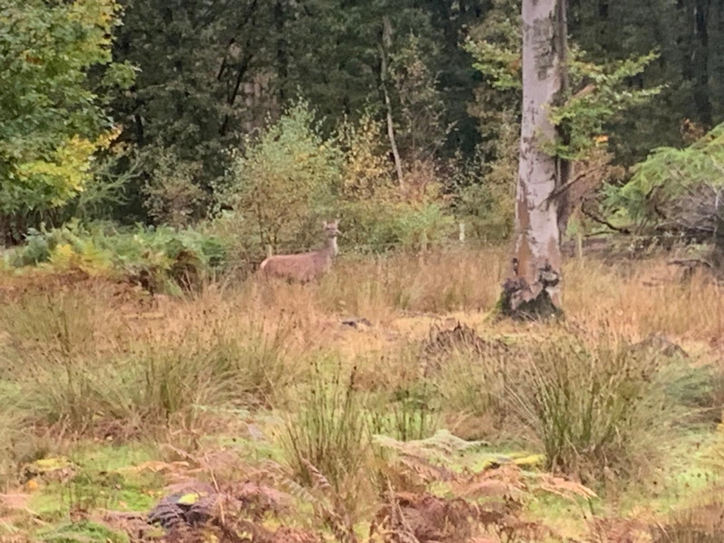 Longshaw Estate Guided Ride