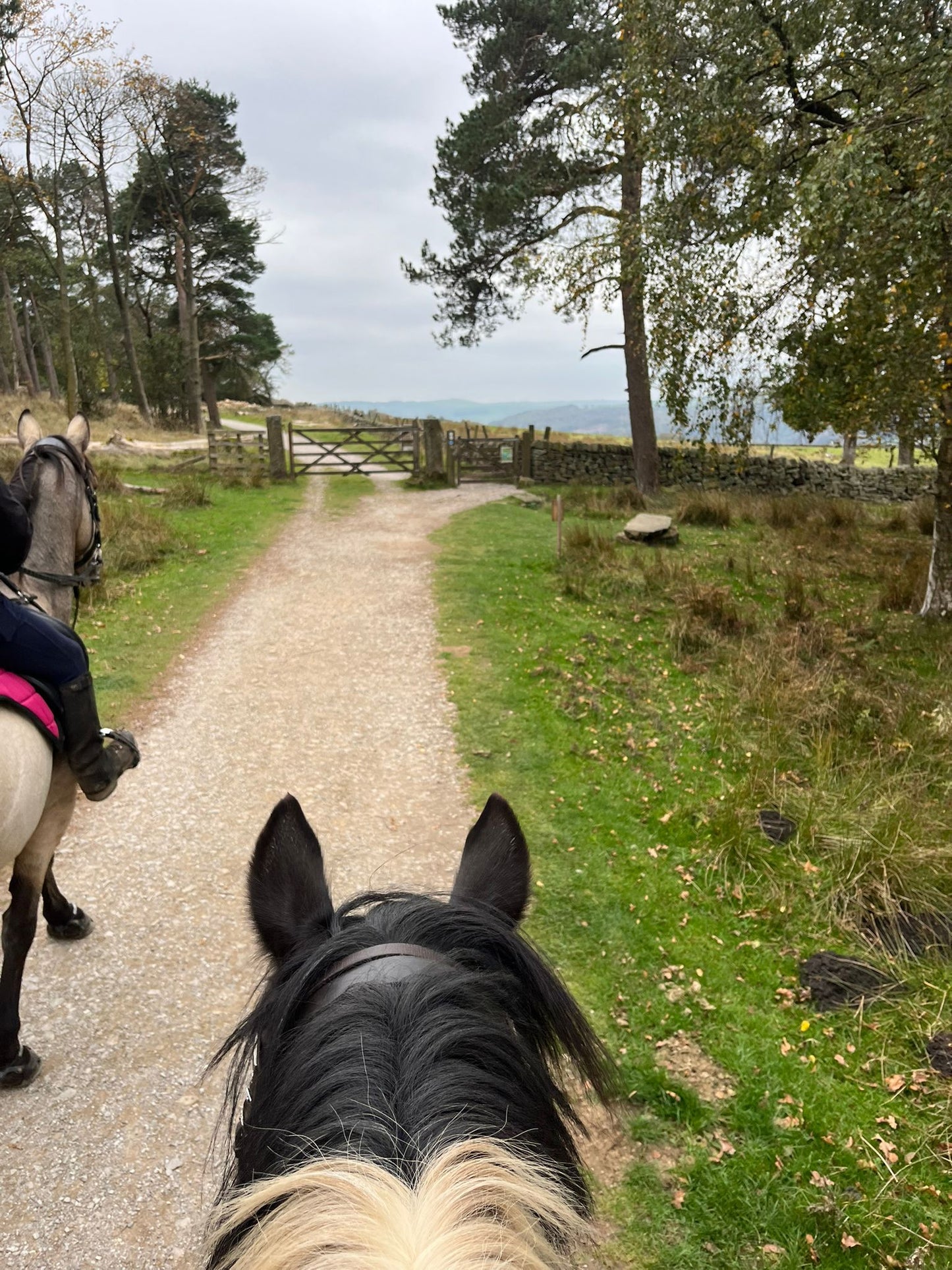 Longshaw Estate Guided Ride
