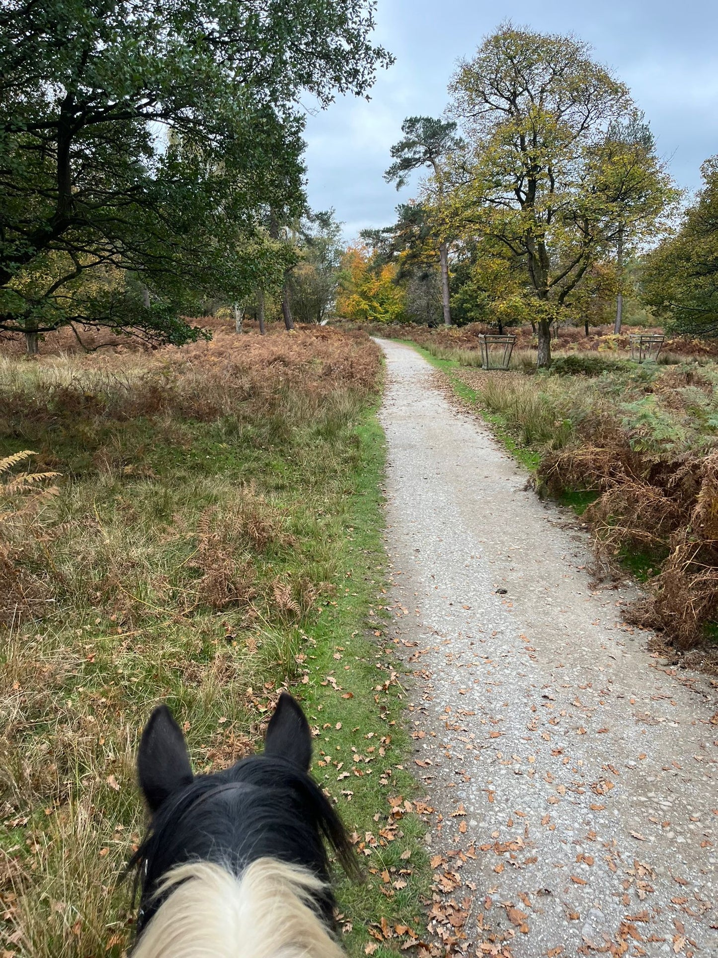 Longshaw Estate Guided Ride