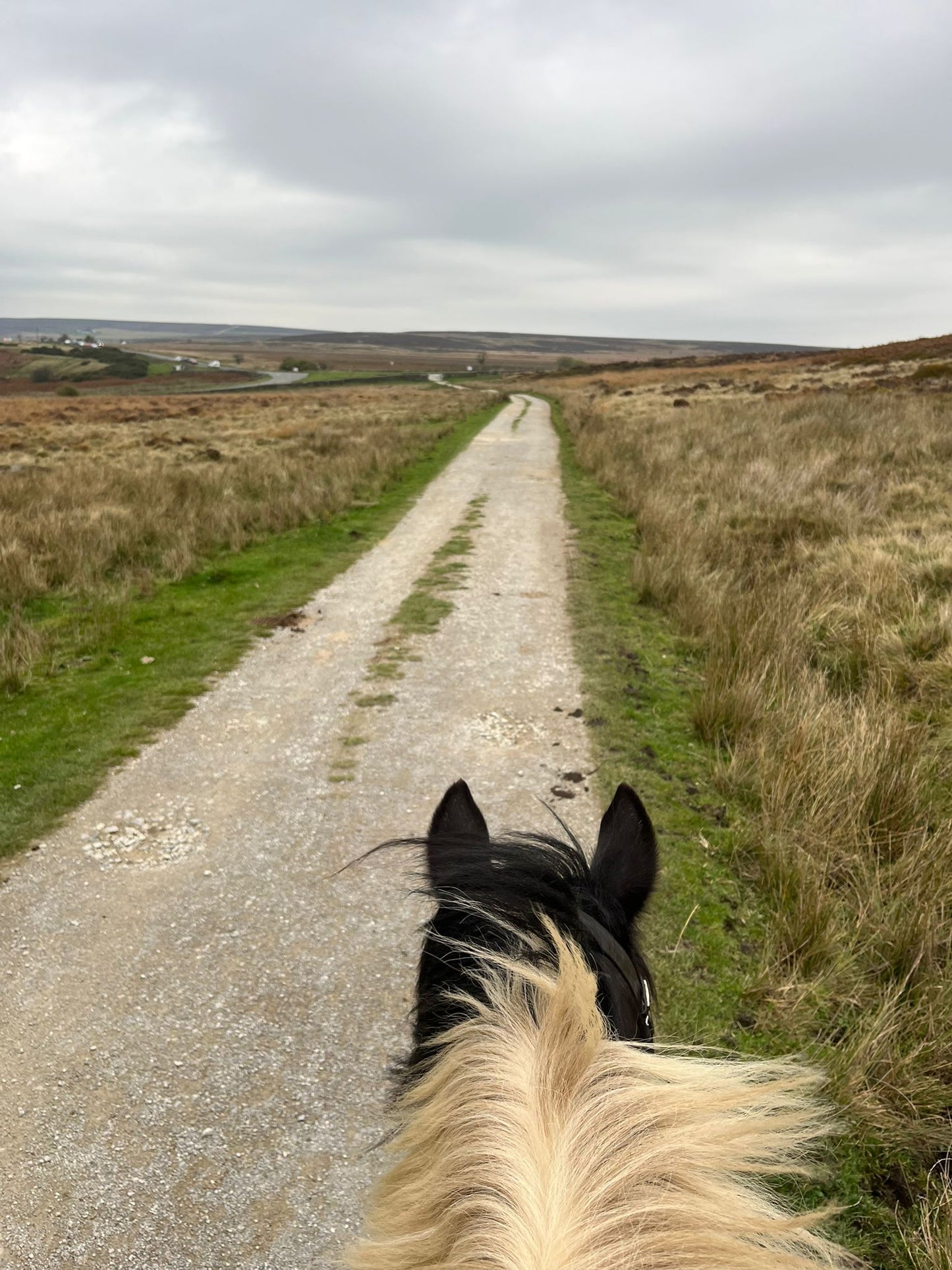 Longshaw Estate Guided Ride