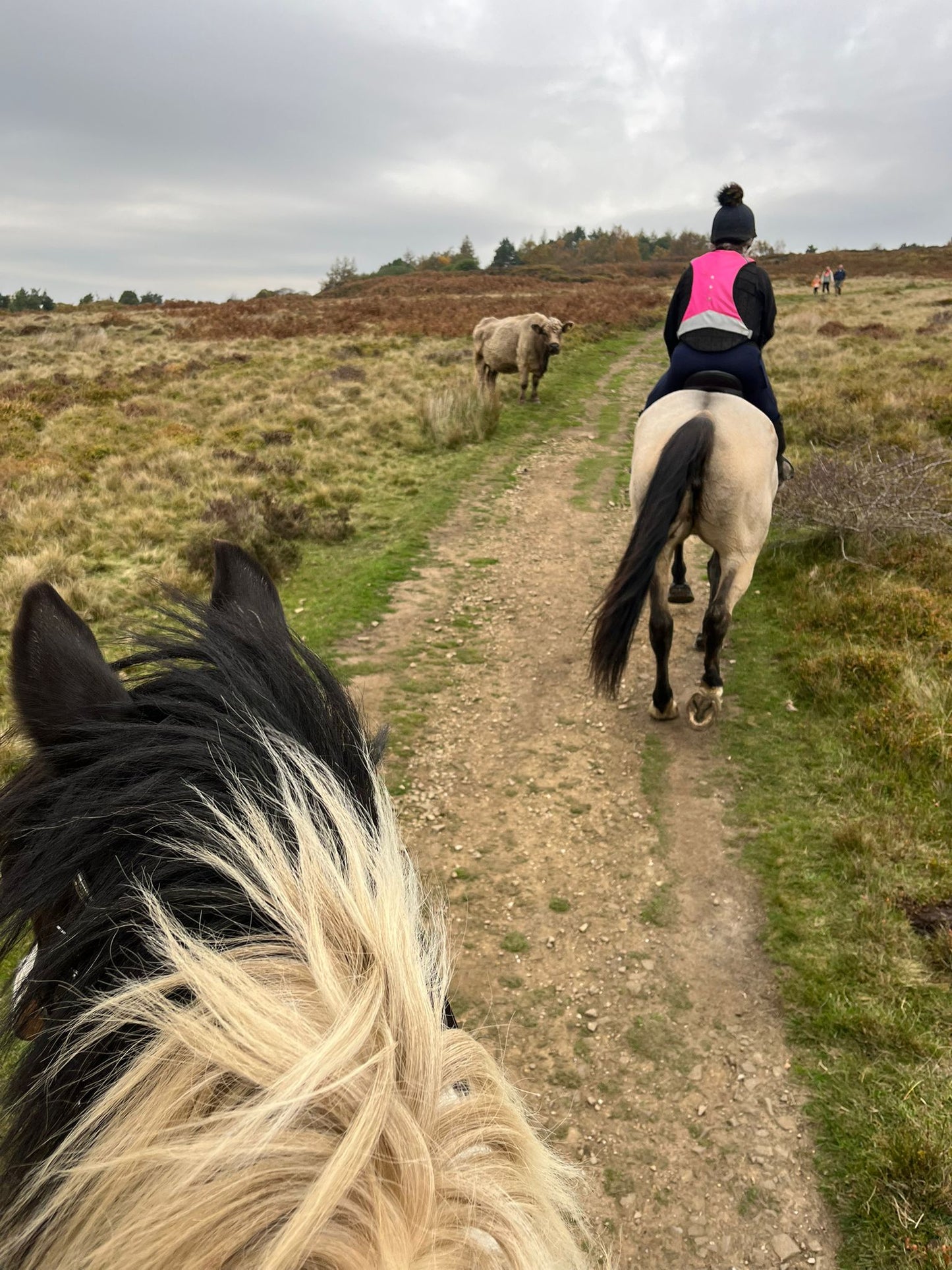 Longshaw Estate Guided Ride