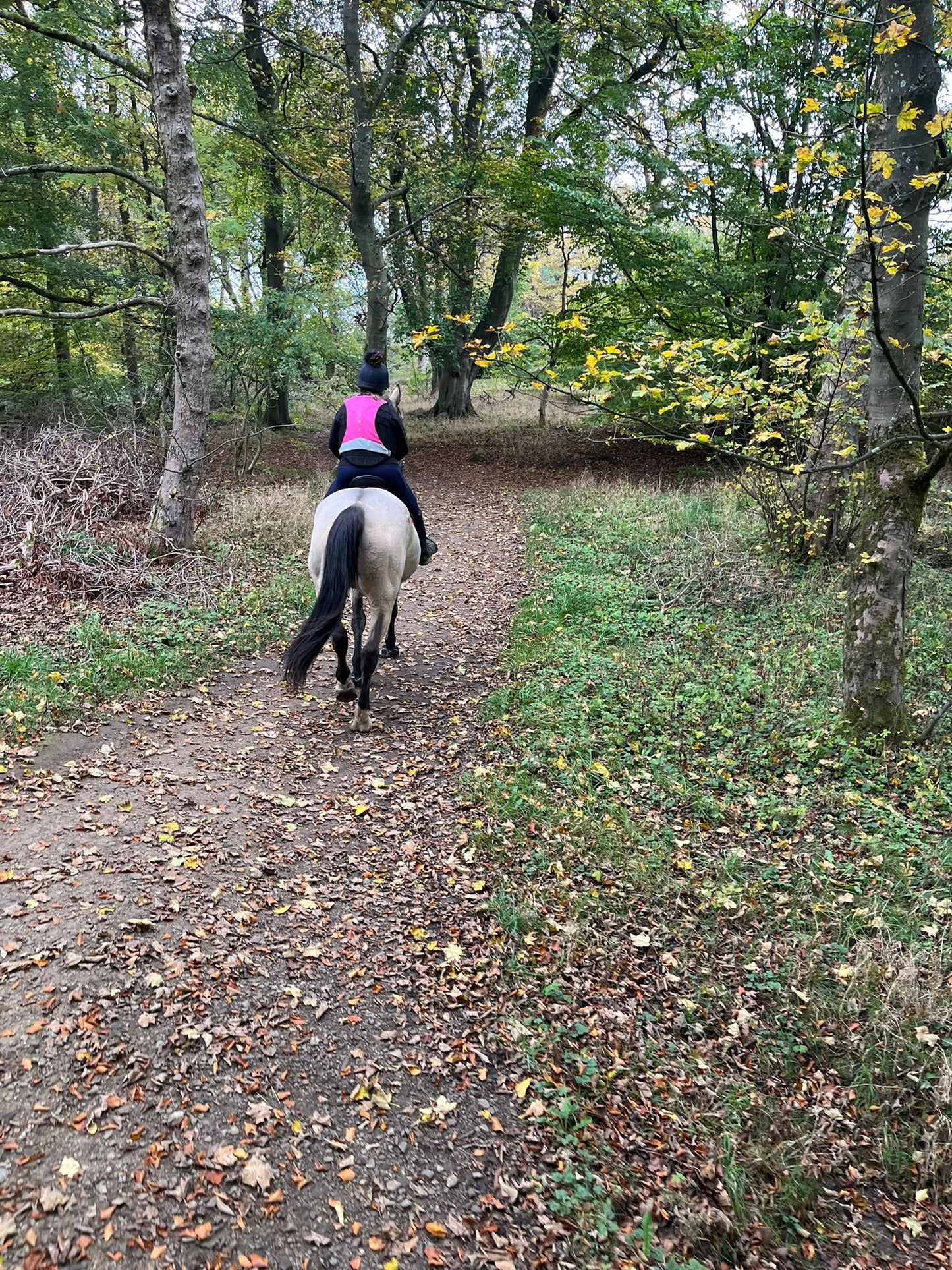 Longshaw Estate Guided Ride