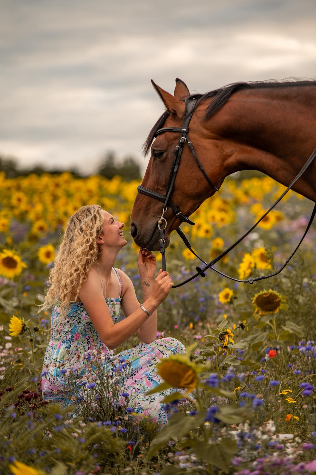 Dreamy Sunflower Equine Photo Shoot