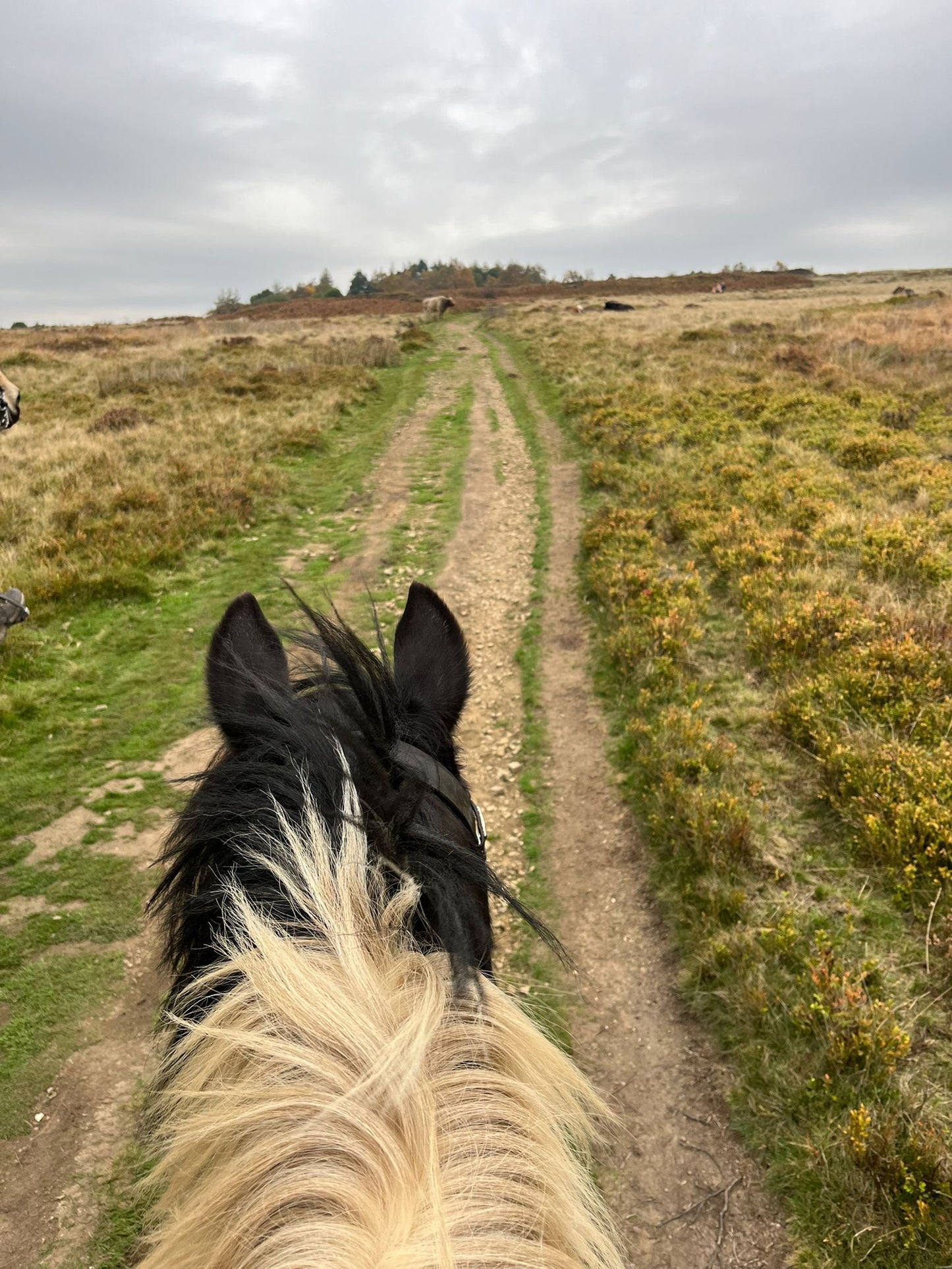 Longshaw Estate Guided Ride