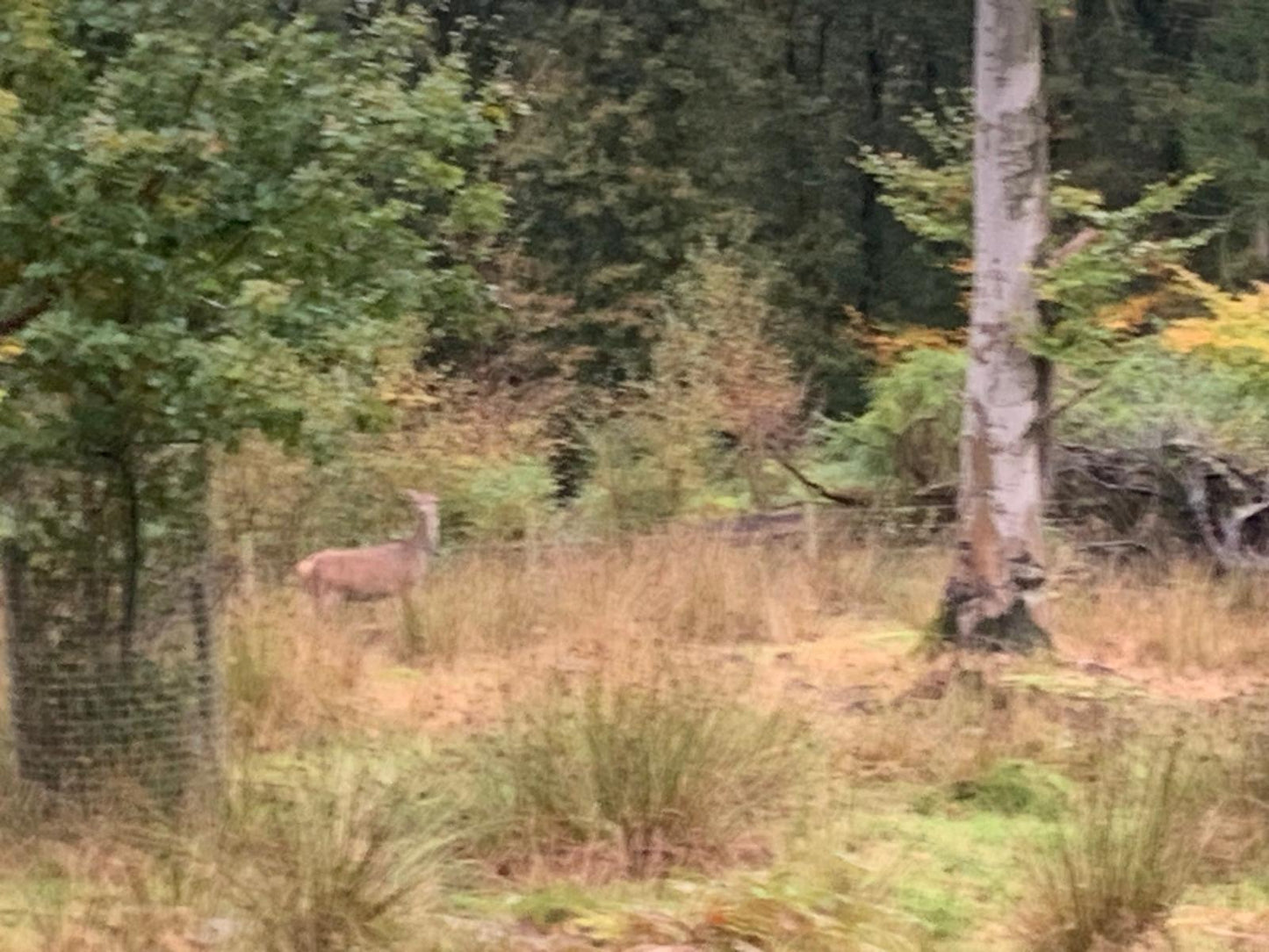 Longshaw Estate Guided Ride