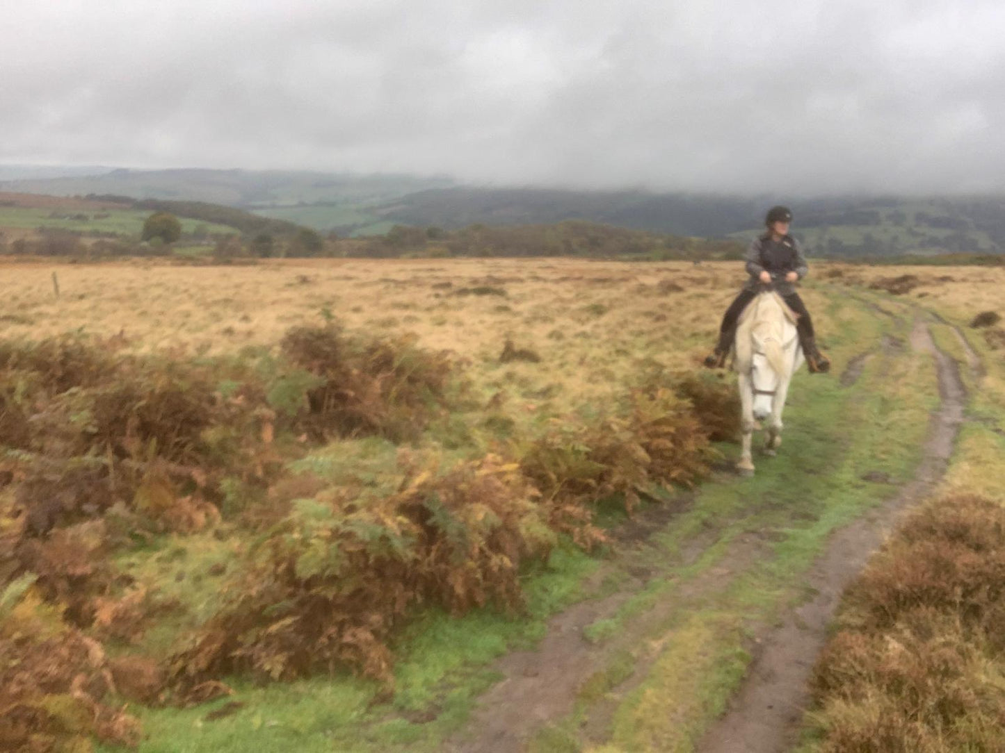 Longshaw Estate Guided Ride