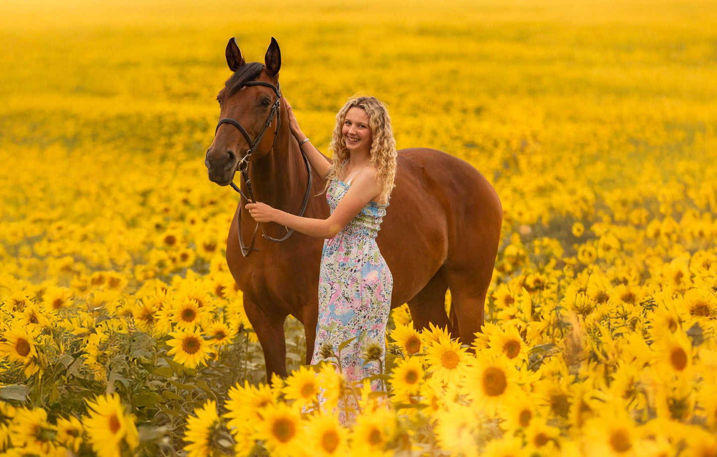 Dreamy Sunflower Equine Photo Shoot