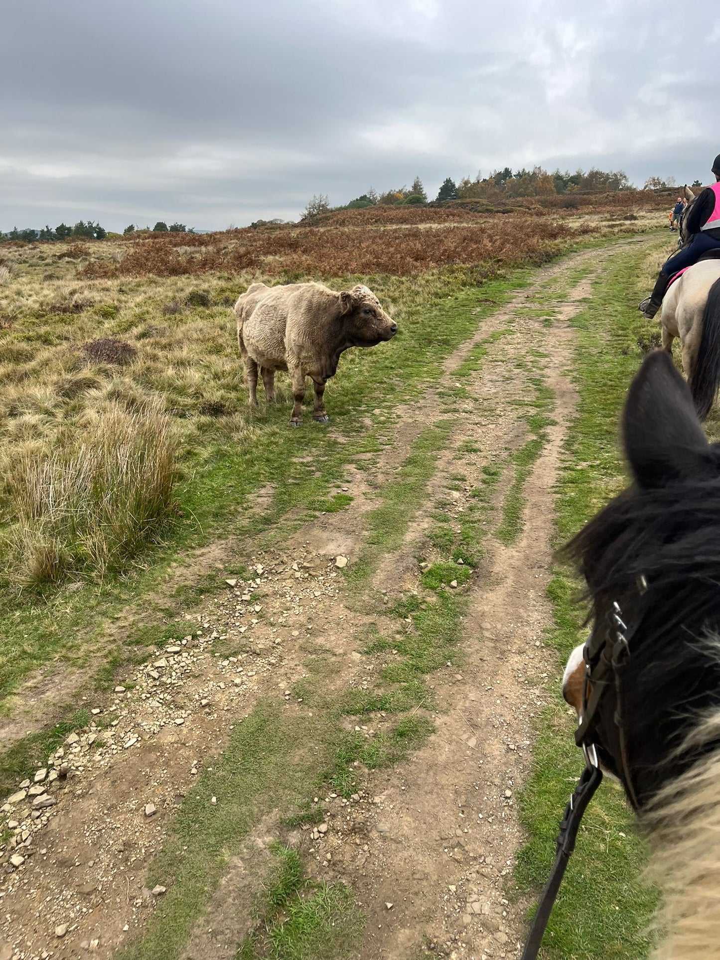 Longshaw Estate Guided Ride