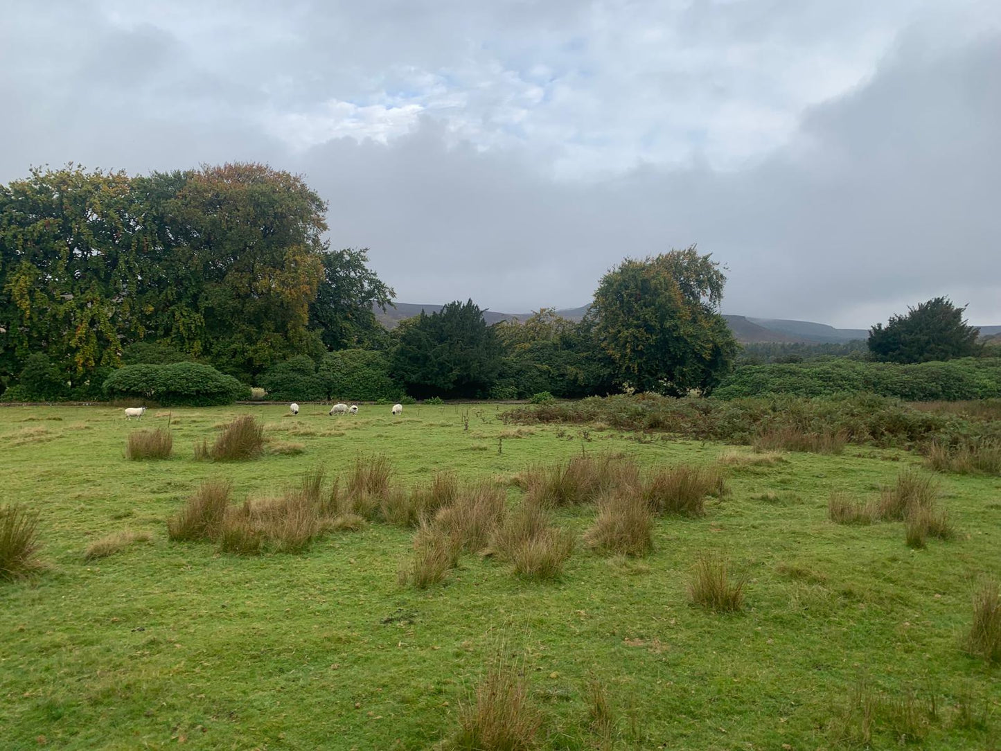 Longshaw Estate Guided Ride