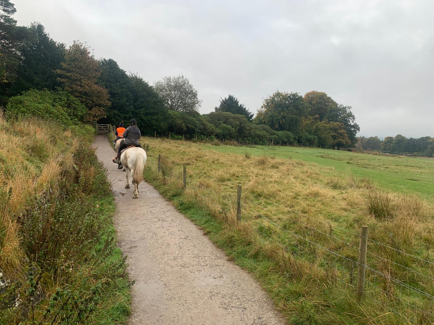 Longshaw Estate Guided Ride