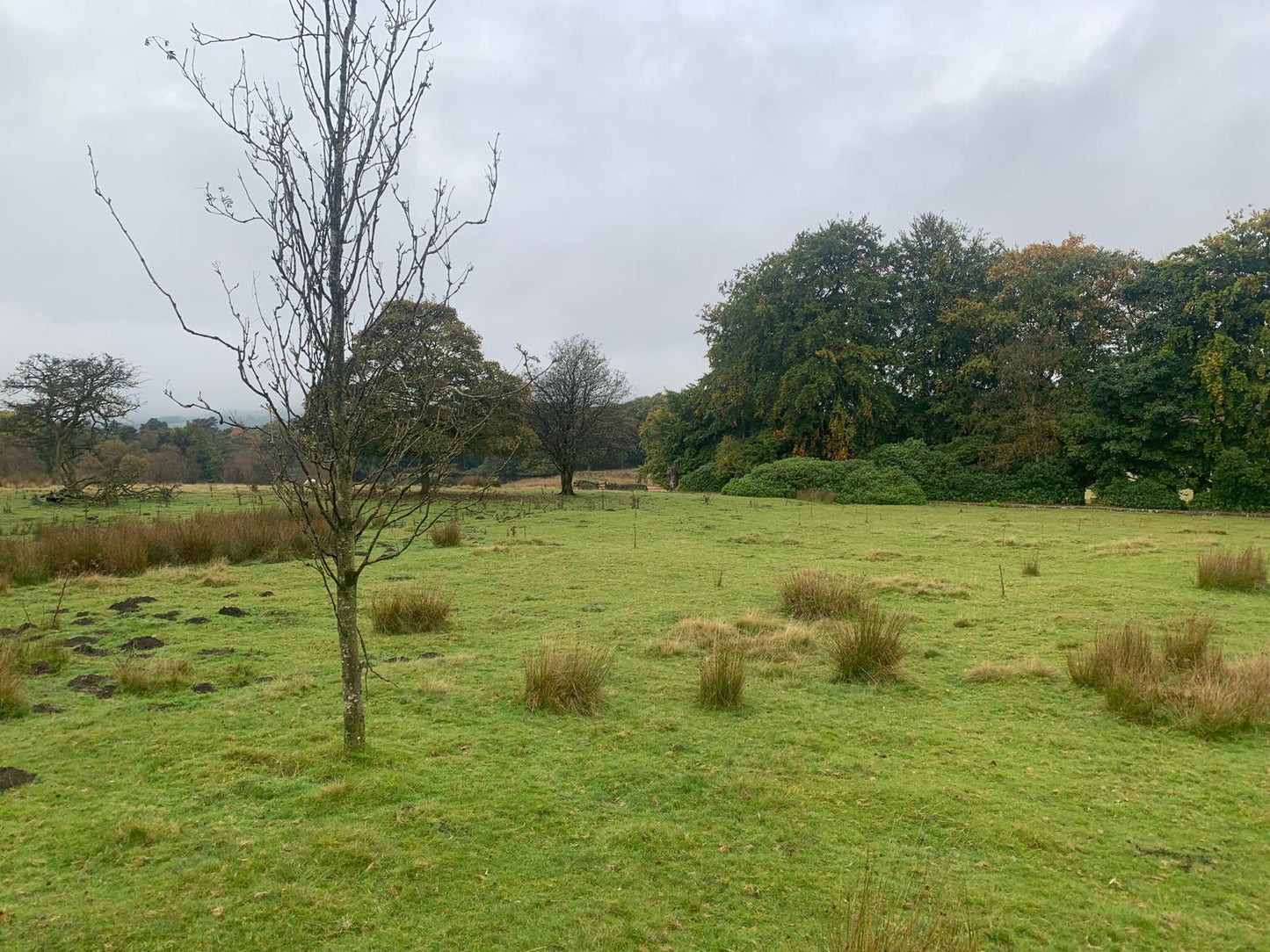 Longshaw Estate Guided Ride
