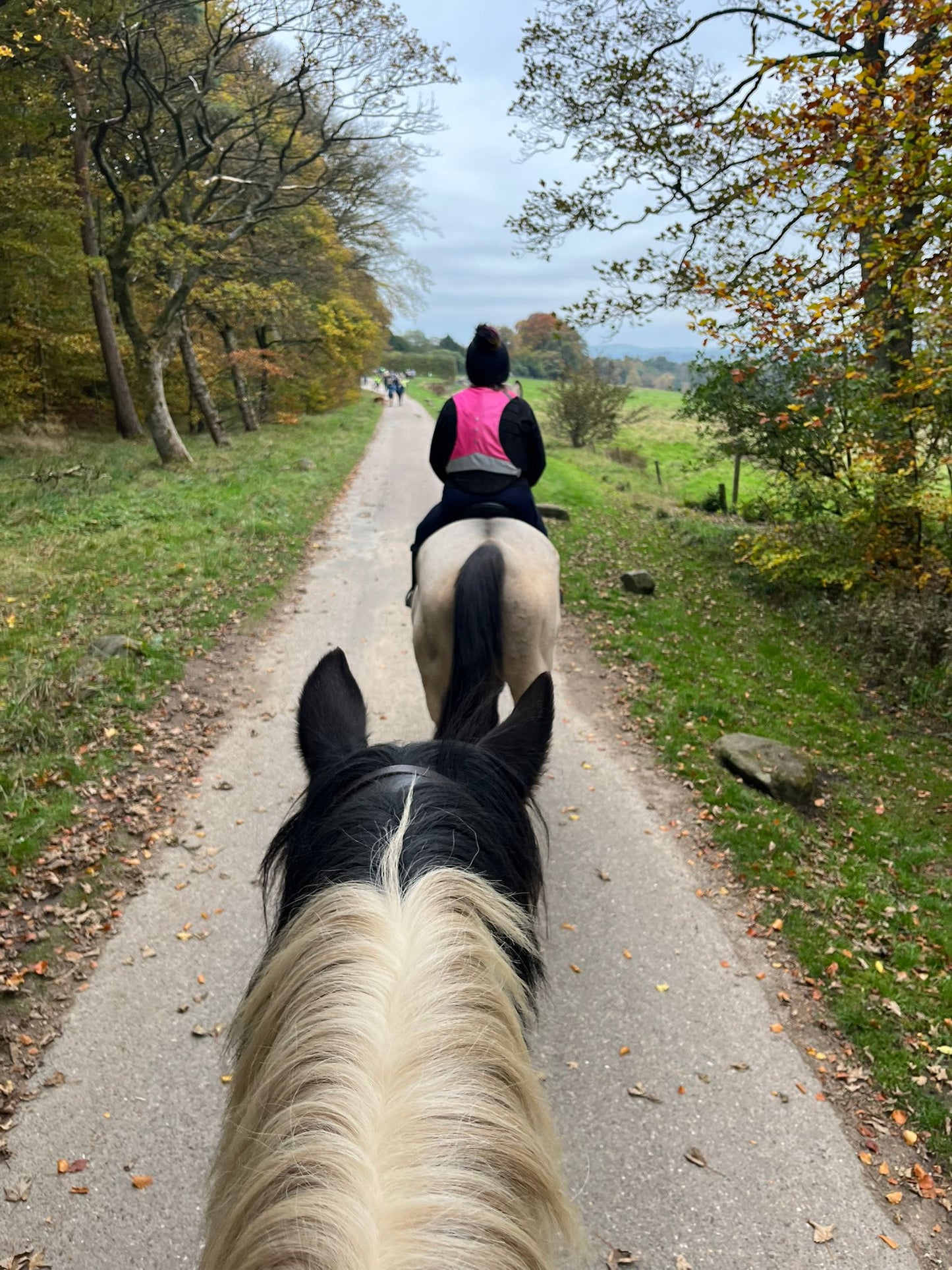 Longshaw Estate Guided Ride