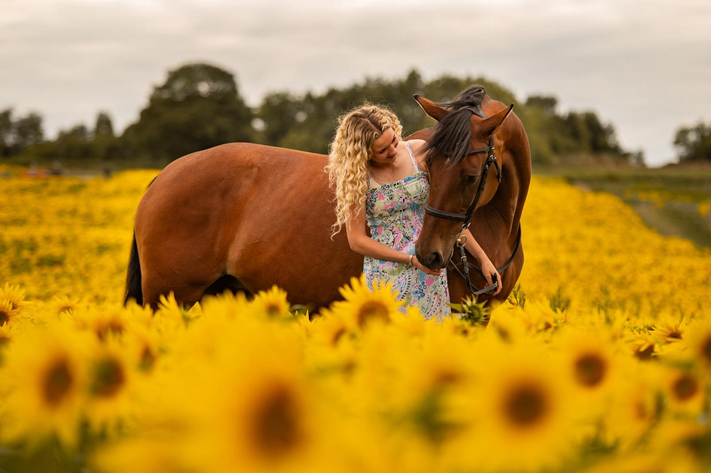 Dreamy Sunflower Equine Photo Shoot